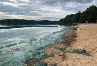 Зеленая вода в минских водоемах. Можно ли купаться?