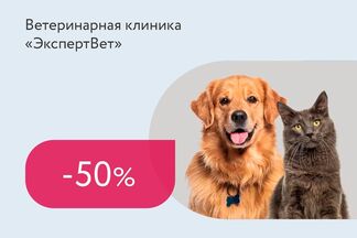 Скидки до 50% на кастрацию кота, кошки и суки