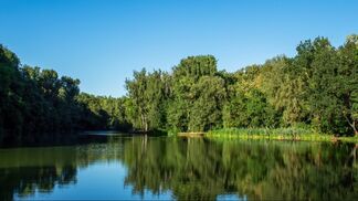 В реках уровень воды может опуститься до критического