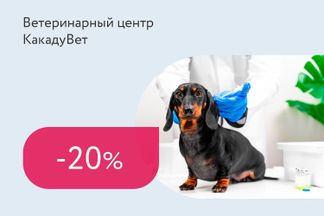 Скидки до 20% на вакцинацию кошек и собак