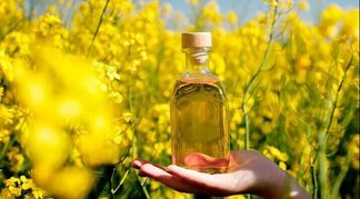 Минздрав Беларуси просит заменить один продукт в детских садах