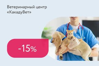 Скидки до 15% на вакцинацию кошек и собак