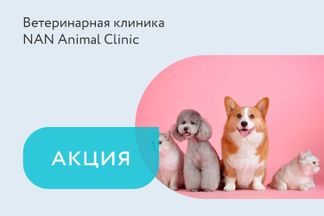 Скидка 20% от чека на кастрацию котов и кобелей
