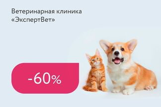 Скидки до 60% на кастрацию кота, кошки и суки