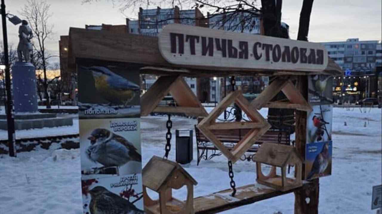 В Могилеве открыли первую городскую «столовую» для пернатых