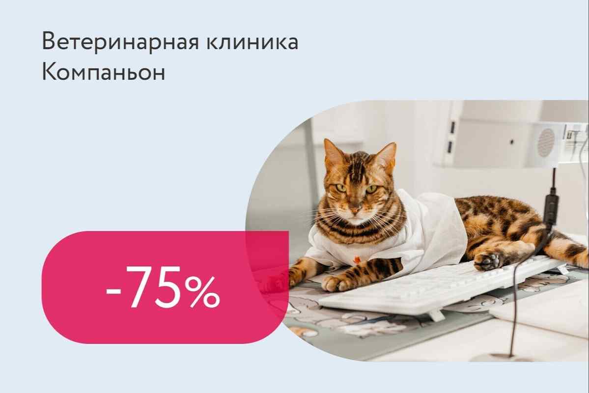 Скидка 75% на 8-ую услугу