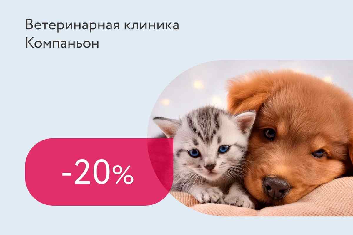 Скидка 20% на УЗИ брюшной полости + составление индивидуального рациона
