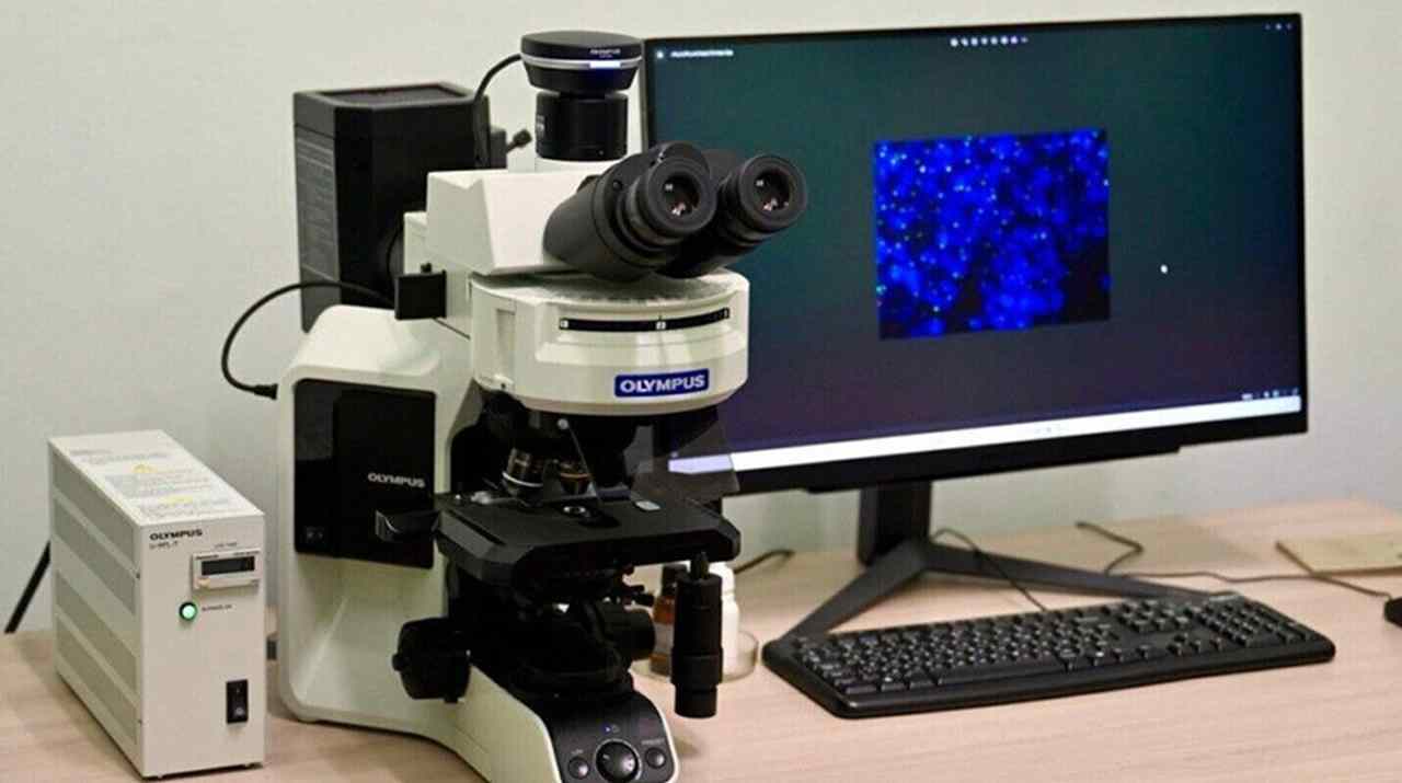 РНПЦ детской онкологии получил новое оборудование для точной генетической диагностики рака