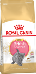 Royal Canin British Shorthair Kitten