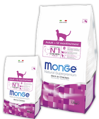 Monge Cat Adult
