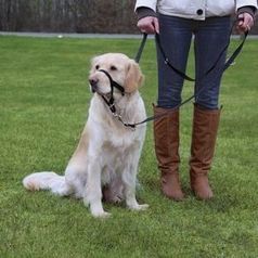 Шлея TRIXIE для дрессировки Top Trainer Training Harness L,50-57см/31см