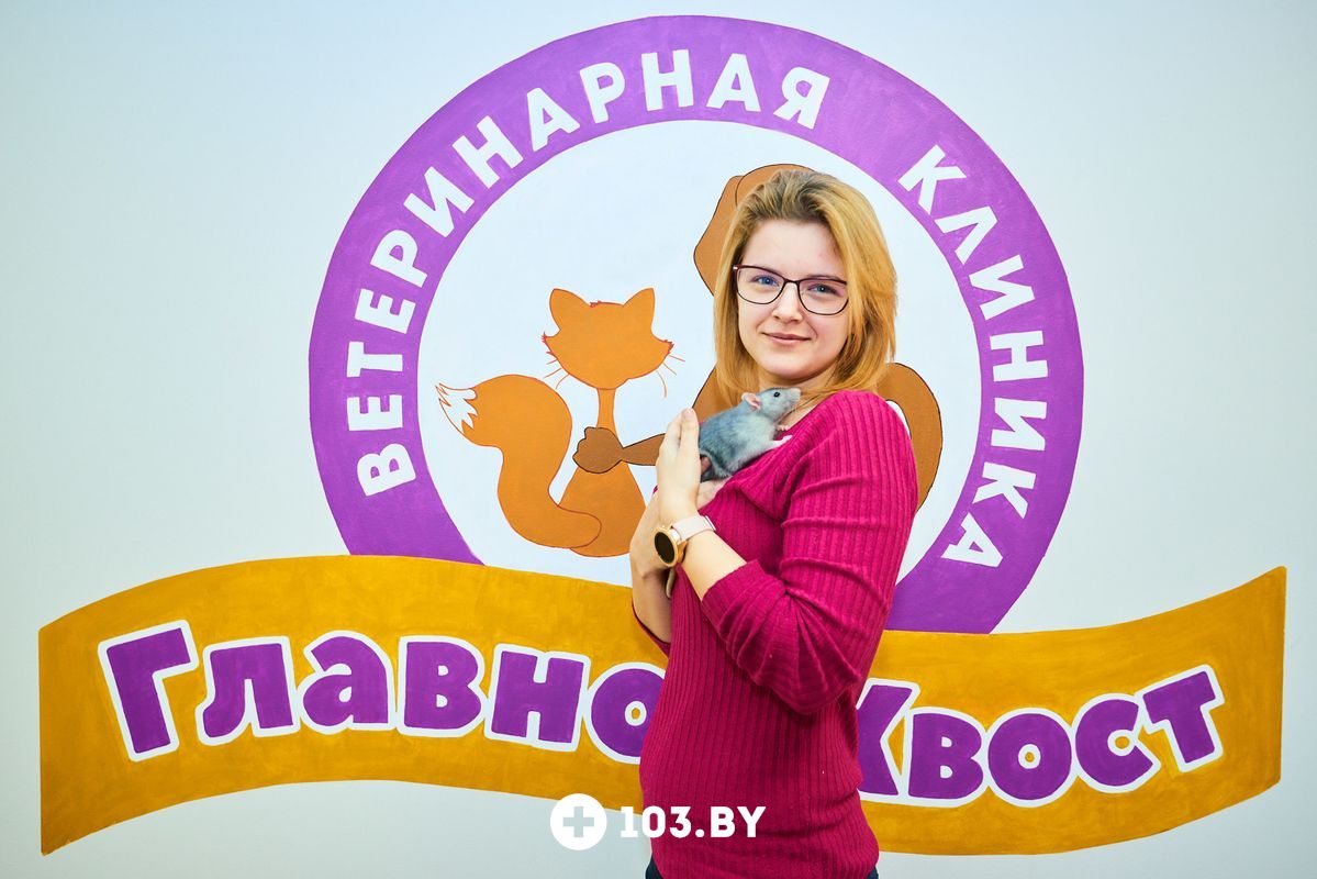 Главное хвост новосибирск. Крылья лапы и хвосты. Руки крылья главное хвост. Главное хвост новосибирск. Главное хвост интернет-магазин в новосибирске.