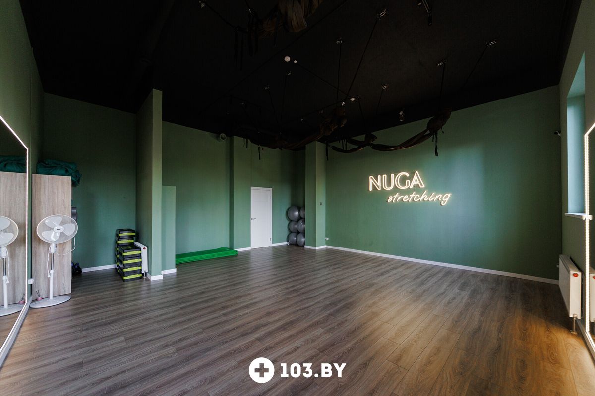 Интерьер Студия растяжки Nuga (Нуга) - фото 2802645