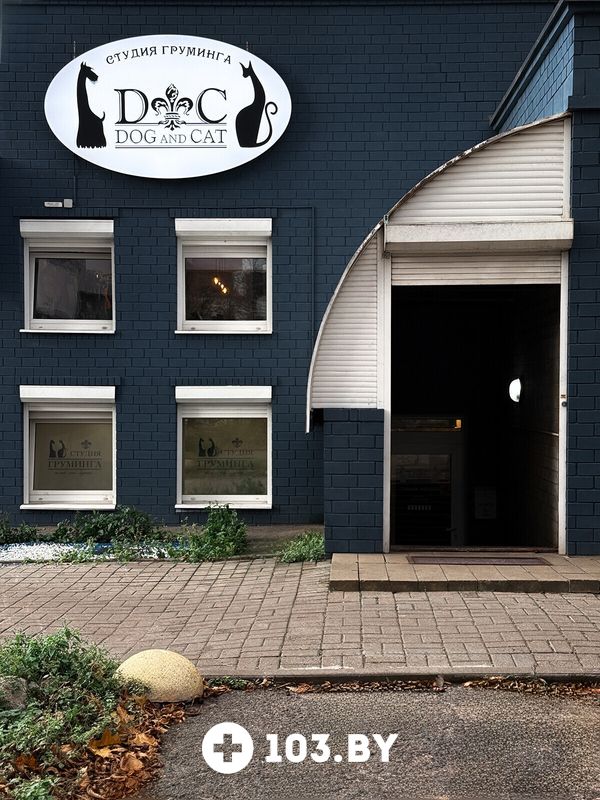 Галерея Студия груминга Dog and Cat (Дог энд Кэт) - фото 2806161