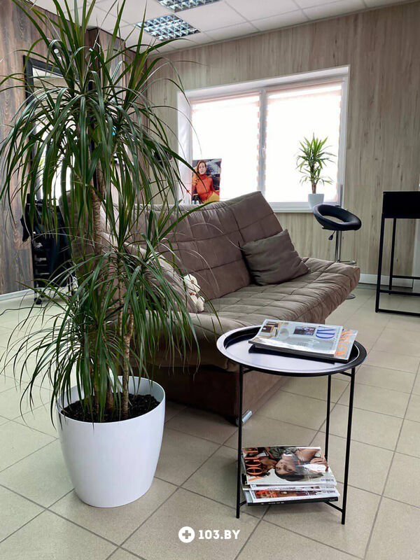 Интерьер Салон красоты «Ns Beauty Studio (Нс Бьюти Студия)» - фото 2766379