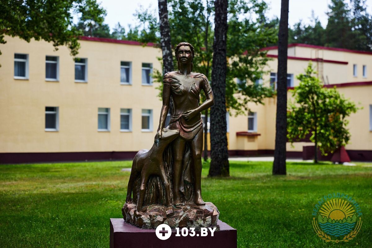 Территория Санаторий «Рассвет-Любань» - фото 2726261