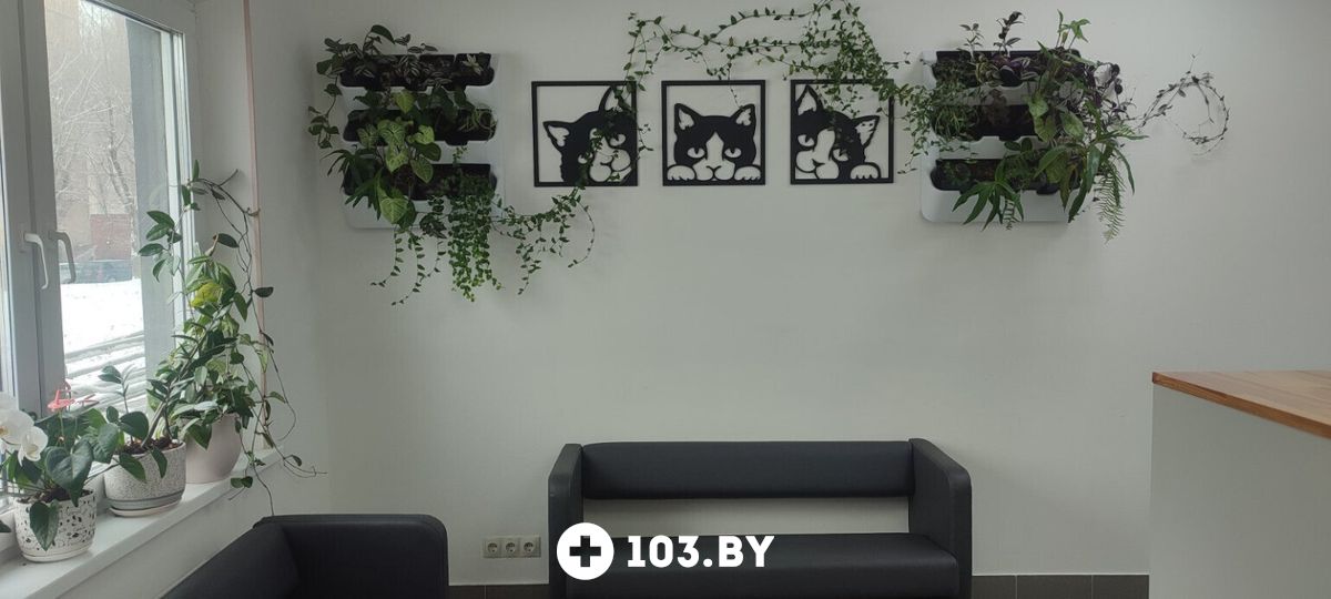 Галерея Ветеринарная клиника «Минина Плюс» - фото 2808588