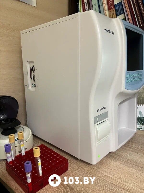 Галерея Ветклиника «Айдавет» - фото 2809915