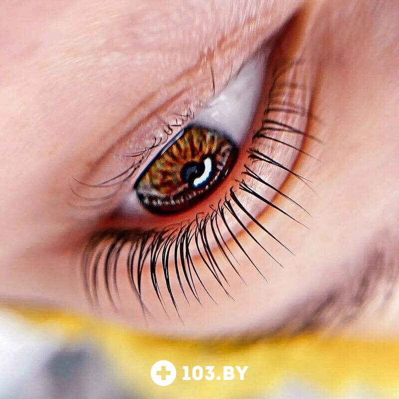 Услуги по уходу за ресницами Имидж-студия «Мажорка» - фото 2737057