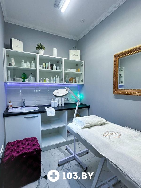 Косметические услуги Салон красоты премиум-класса «Perfection Style (Перфекшн Стайл)» - фото 2806377