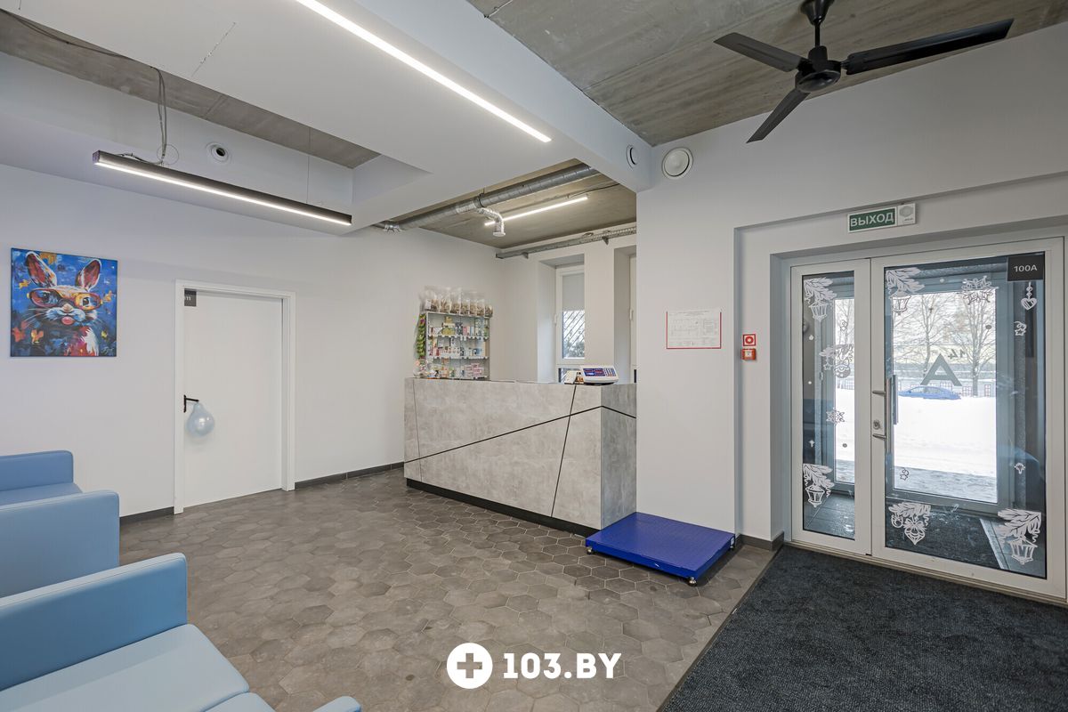 Интерьер Ветеринарная клиника «Компаньон» - фото 2810749