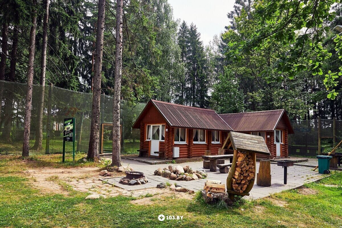 Интерьер Республиканский горнолыжный центр «Силичи» - фото 2707513