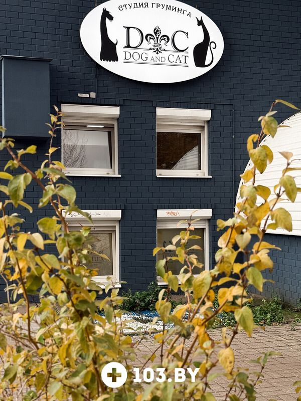 Галерея Студия груминга Dog and Cat (Дог энд Кэт) - фото 2806164