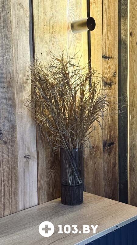 Интерьер База отдыха «Елки иголки» - фото 2803662