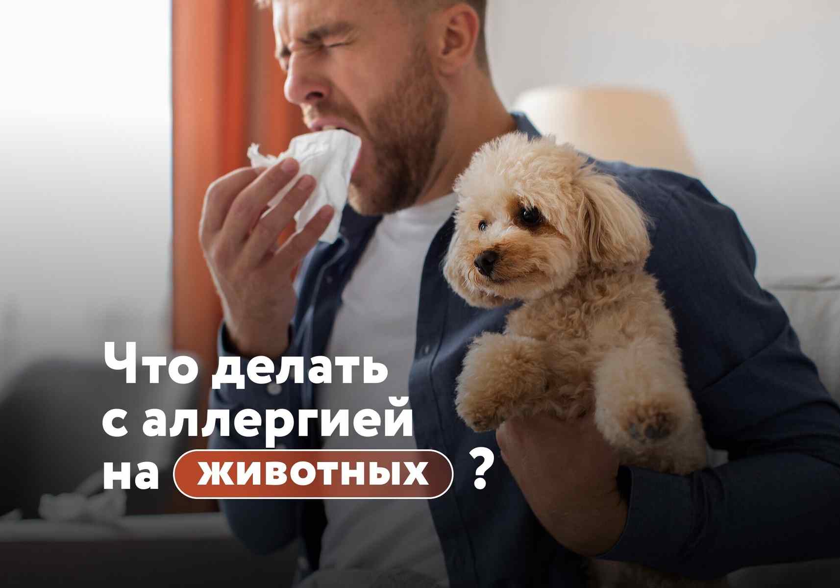 Аллергия на домашних животных: можно ли продолжать жить вместе с питомцем