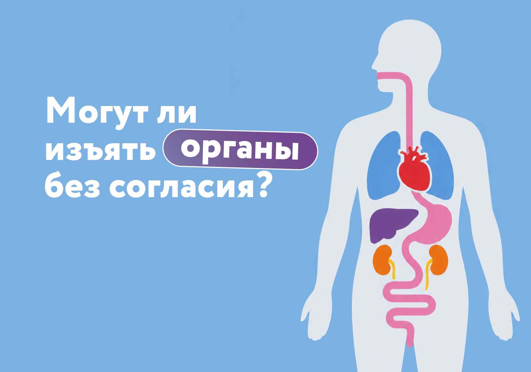 «Что будет с моими органами, если я умру?» Разбираемся, как работает донорство в Беларуси