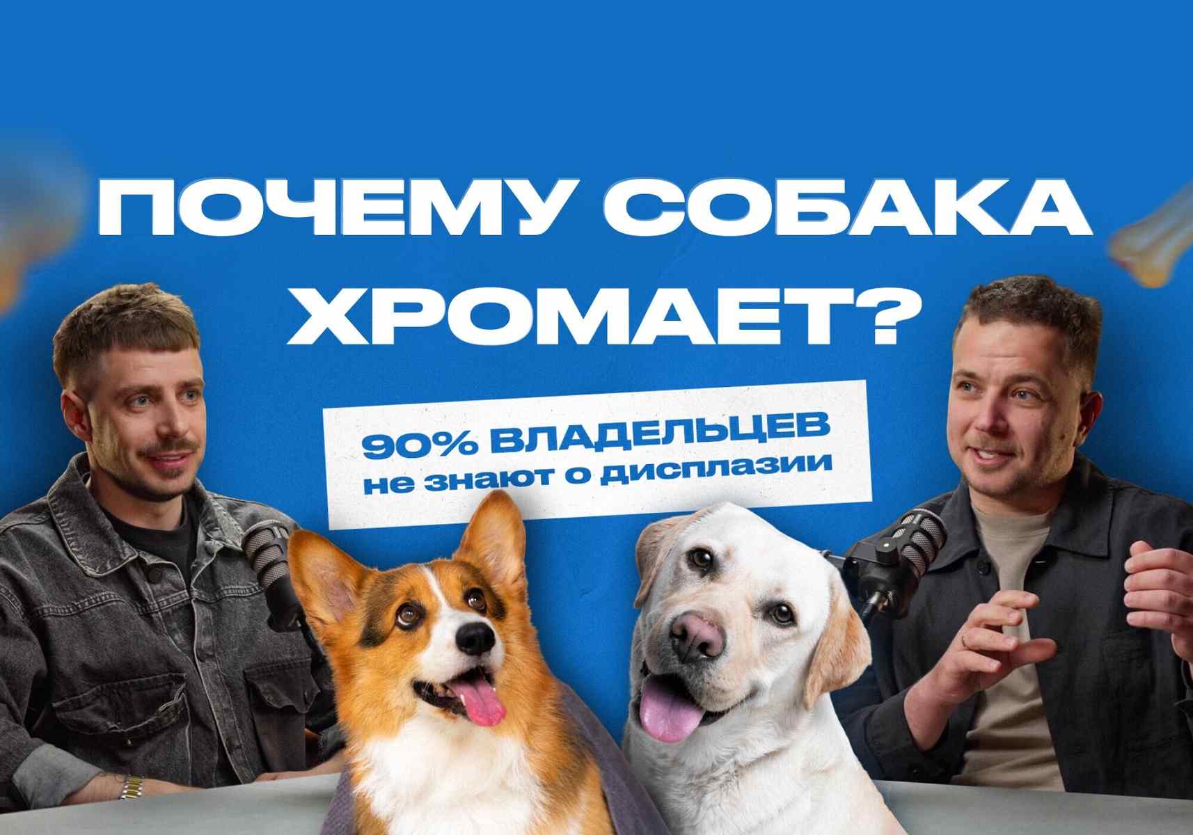 Собака хромает? Как остановить дисплазию и спасти суставы щенка