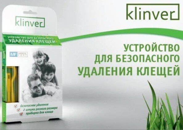 Энцефалитный клещ