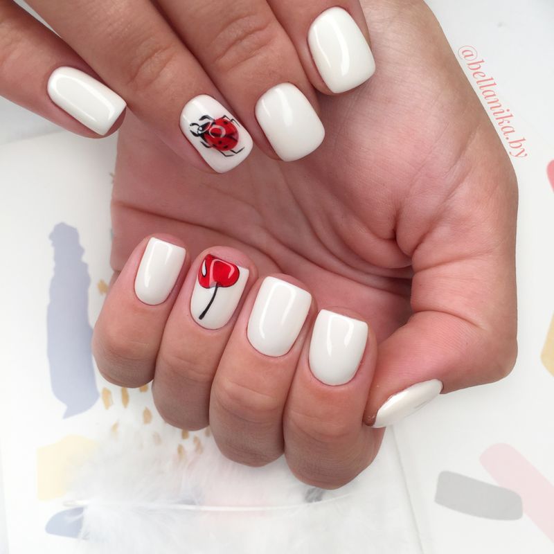 Маникюр Студия красоты «BellaNika (Бэлла Ника)» - фото 2196773