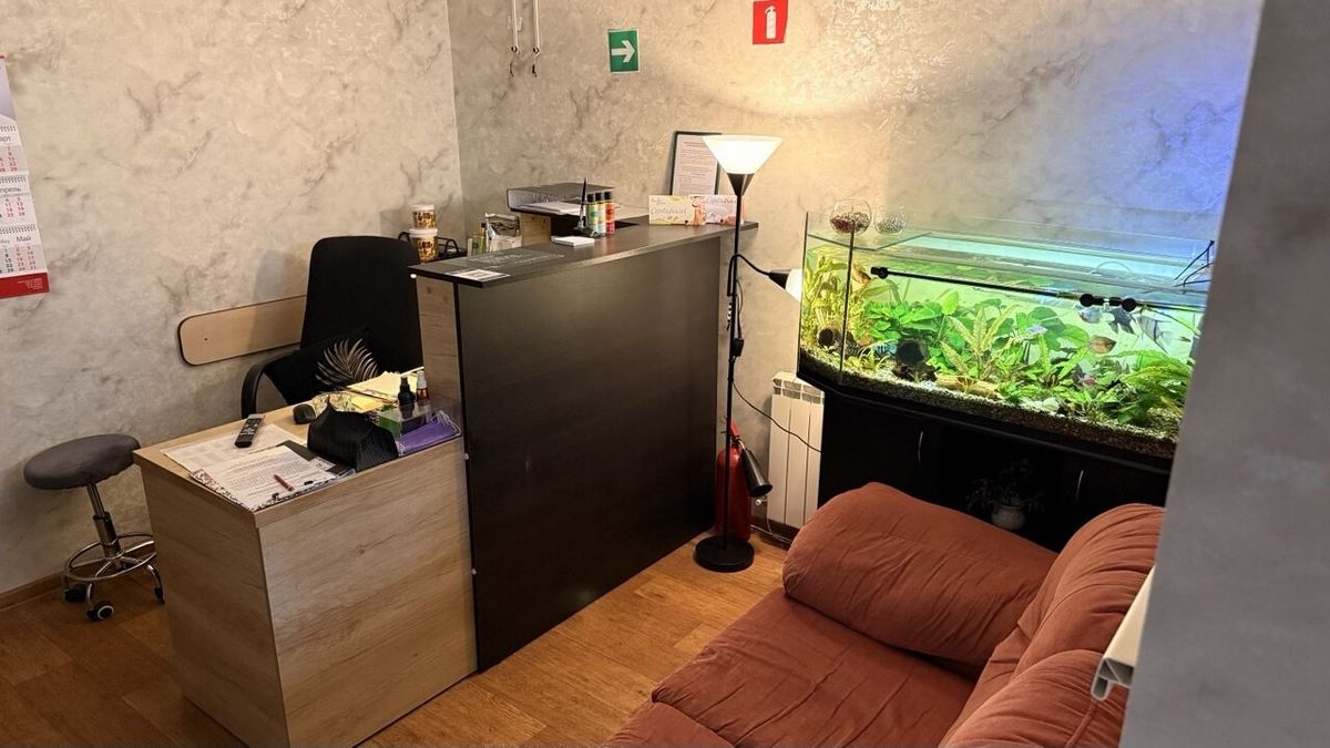 Галерея Массажный салон «Белый питон» - фото 2768095