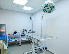 Ветеринарная клиника Главное Хвост, Галерея - фото 3