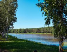 Санаторий Сосновый бор, Территория - фото 11
