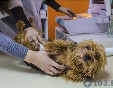 Ветеринарный центр Семь жизней, Галерея - фото 10