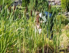 VIP коттедж Каменная горка, Наши гости - фото 6