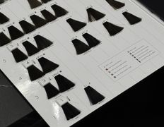 Студия красоты Body Dream (Боди Дрим), Галерея - фото 15