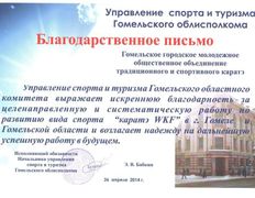 null Гомельское городское молодежное общественное объединение традиционного и спортивного каратэ, Наши награды - фото 3