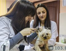 Ветеринарный центр Семь жизней, Галерея - фото 3