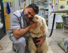 Ветеринарная клиника ВетЗооЦентр, ВетЗооЦентр - фото 2