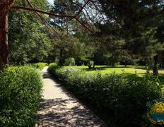 Санаторий Сосновый бор, Территория - фото 17