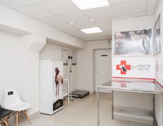 Ветклиника PET’S HEALTH (ПЕТС ХЕЛС), Интерьер - фото 2