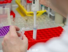 null Республиканский научно-практический центр детской онкологии, гематологии и иммунологии, Лаборатория генетических биотехнологий - фото 10