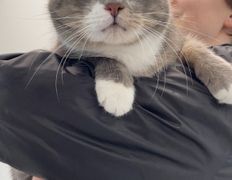 Ветеринарная клиника АйбиВЕТ, Галерея - фото 16