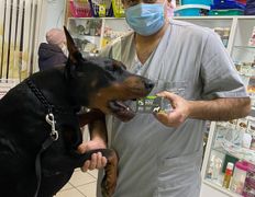 Ветеринарная клиника ВетЗооЦентр, ВетЗооЦентр - фото 4