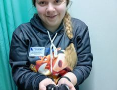 Ветеринарная клиника СимбаВет, Галерея - фото 8