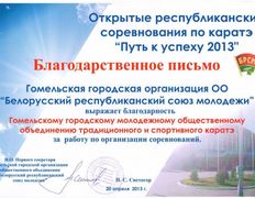null Гомельское городское молодежное общественное объединение традиционного и спортивного каратэ, Наши награды - фото 2