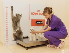 Ветеринарная клиника и аптека  Дай Лапу, Галерея - фото 1